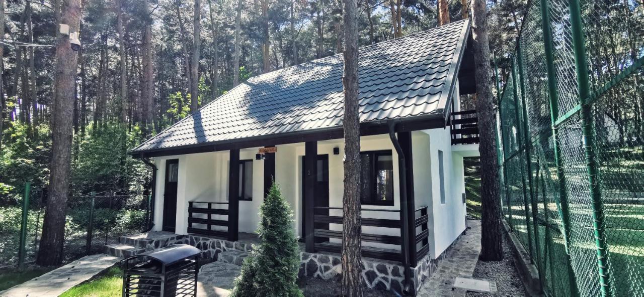 综合Parc Pini Hotel Moinesti